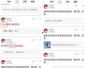 视频爆料规则最新,合规发布，守护网络空间清朗